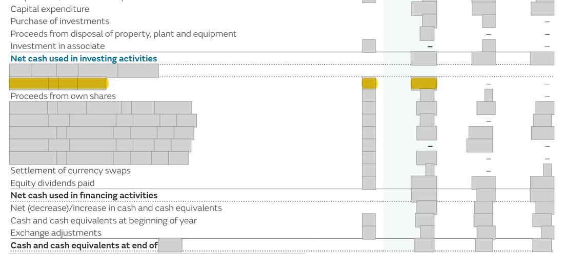 Masked extract from the Annual Report 2025, page 213