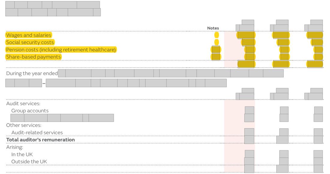 Masked extract from the Annual Report 2024, page 205