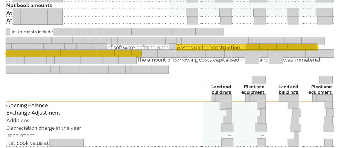 Masked extract from the Annual Report 2025, page 229
