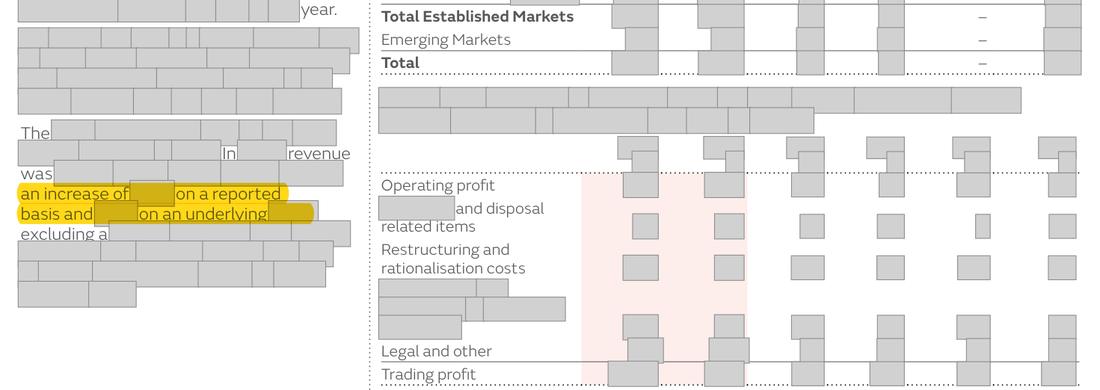 Masked extract from the Annual Report 2024, page 22