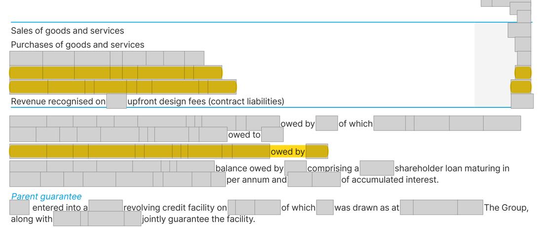 Masked extract from the Annual Report 2025, page 258