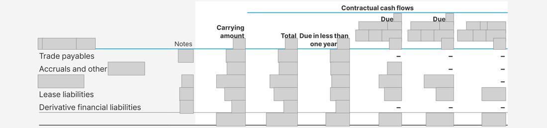 Masked extract from the Annual Report 2024, page 216