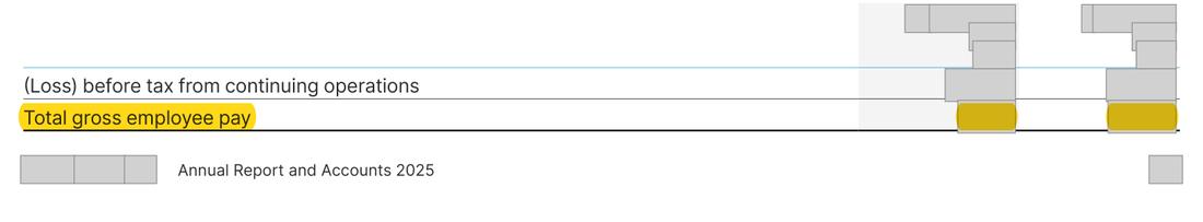 Masked extract from the Annual Report 2025, page 153
