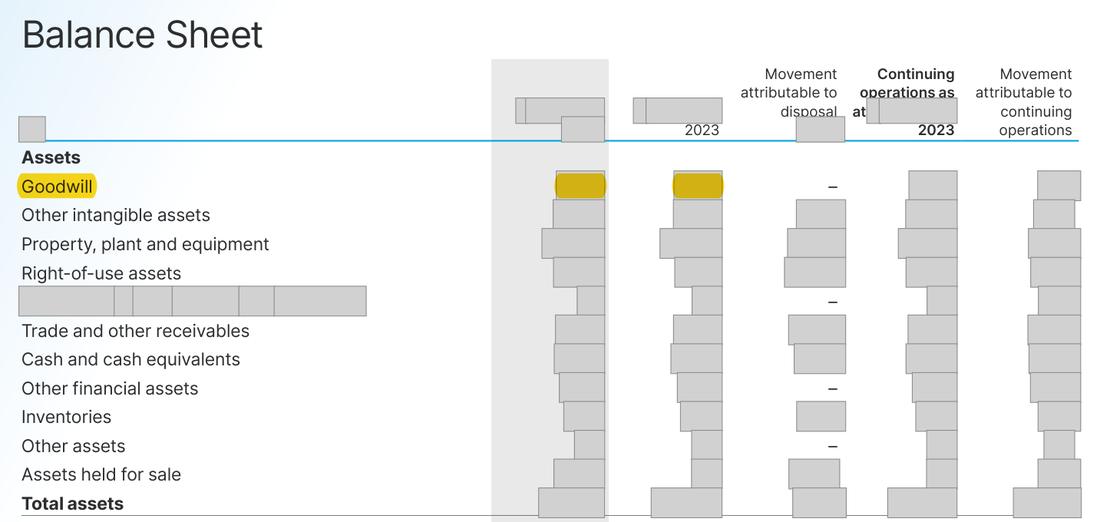 Masked extract from the Annual Report 2024, page 41