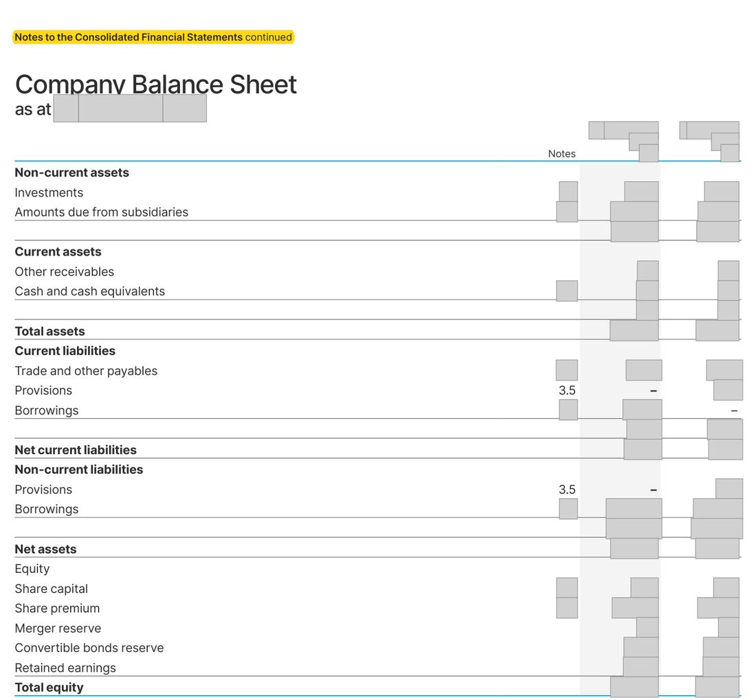 Masked extract from the Annual Report 2025, page 260