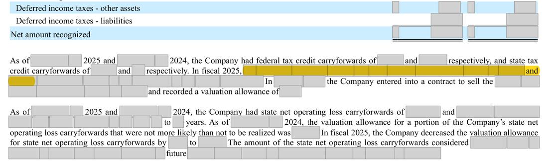 Masked extract: Form 10-K 2025, page 78