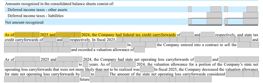 Masked extract: Form 10-K 2025, page 78. Where the disclosure should appear: nothing here