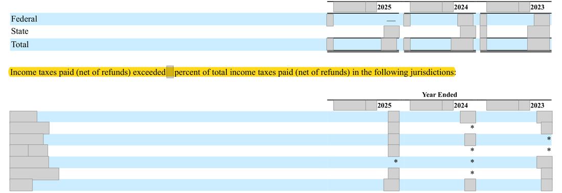 Masked extract: Form 10-K 2025, page 80
