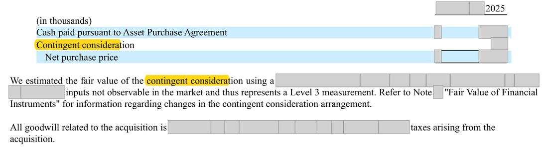Masked extract: Form 10-K 2025, front matter