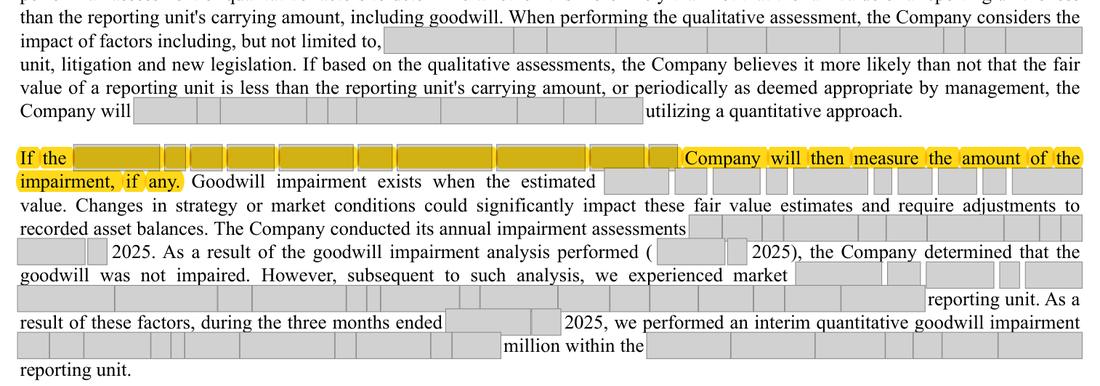 Masked extract: Form 10-K 2025, front matter