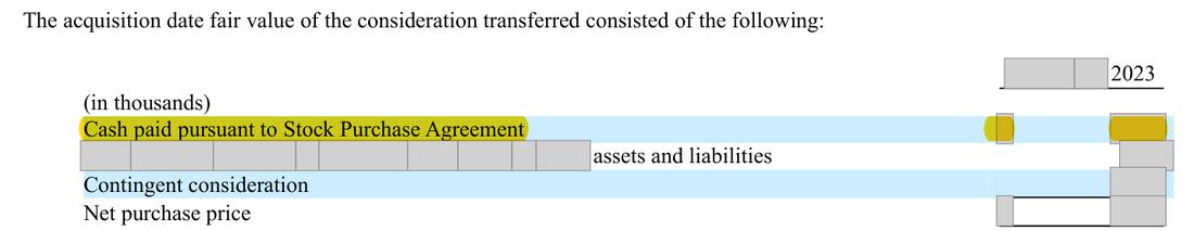 Masked extract: Form 10-K 2025, front matter