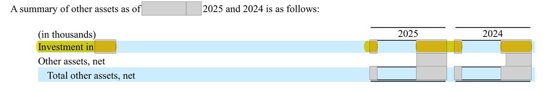 Masked extract: Form 10-K 2025, front matter