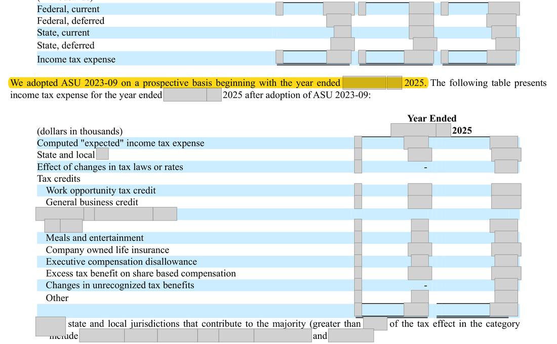 Masked extract: Form 10-K 2025, front matter