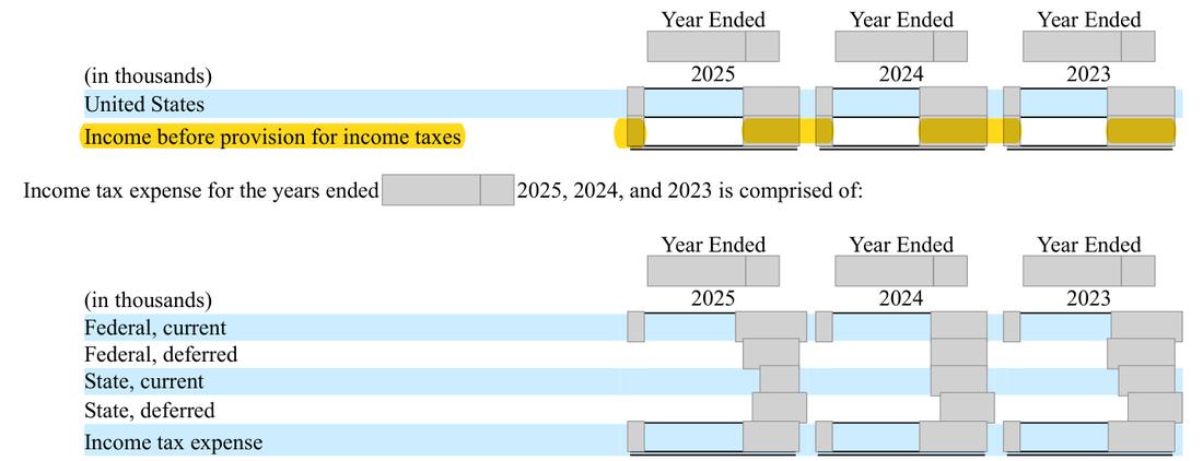 Masked extract: Form 10-K 2025, front matter