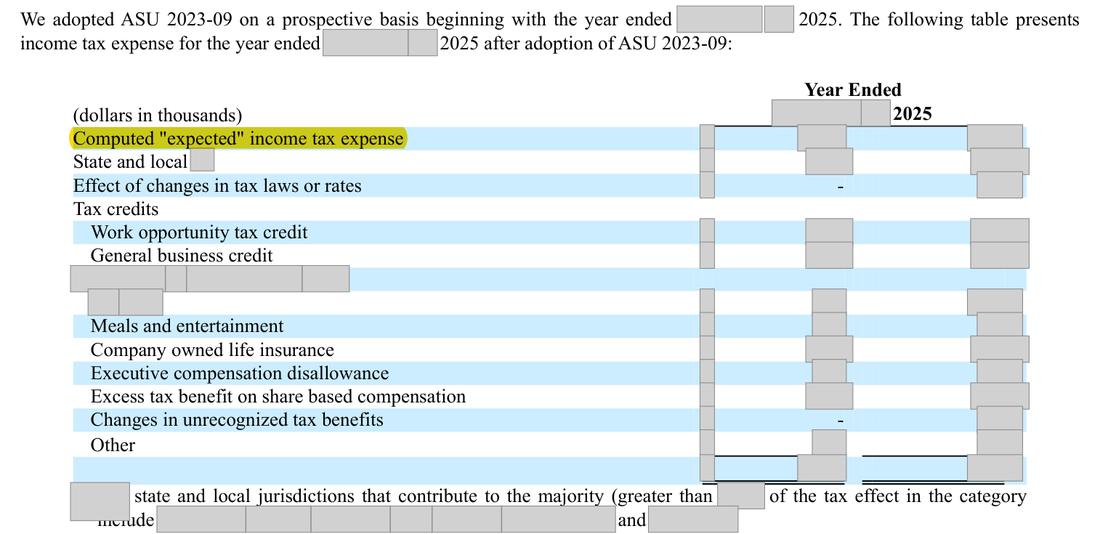 Masked extract: Form 10-K 2025, front matter. Where the disclosure should appear: nothing here