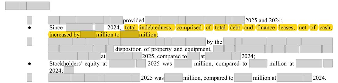 Masked extract: Form 10-K 2025, page 29