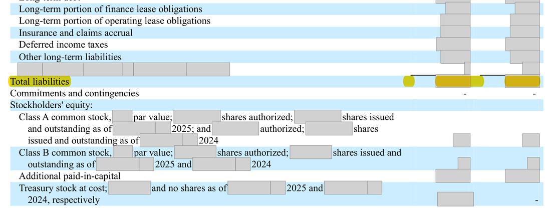 Masked extract: Form 10-K 2025, front matter