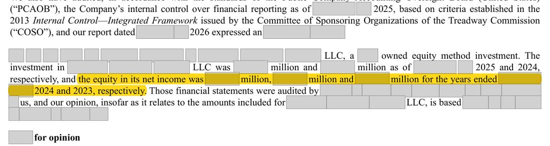 Masked extract: Form 10-K 2025, front matter