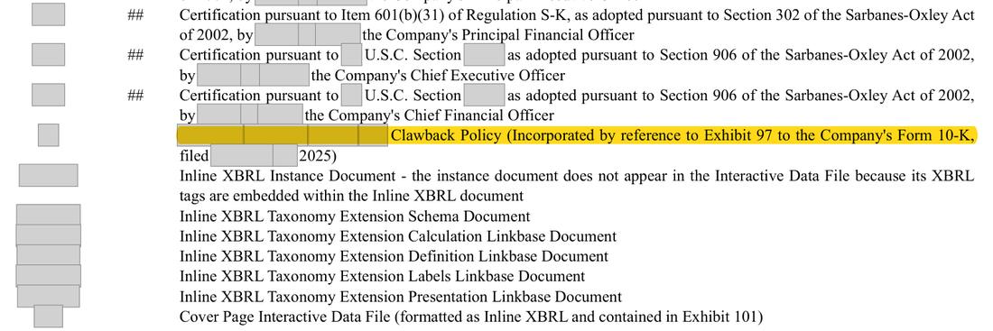 Masked extract: Form 10-K 2025, front matter