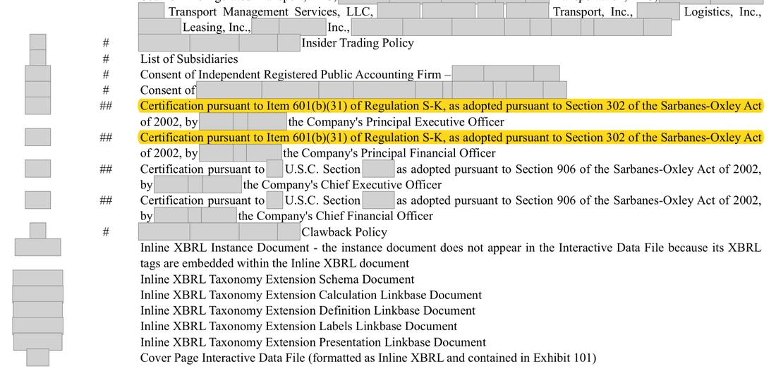 Masked extract: Form 10-K 2024 (prior year), front matter