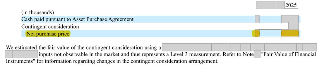 Masked extract: Form 10-K 2025, front matter