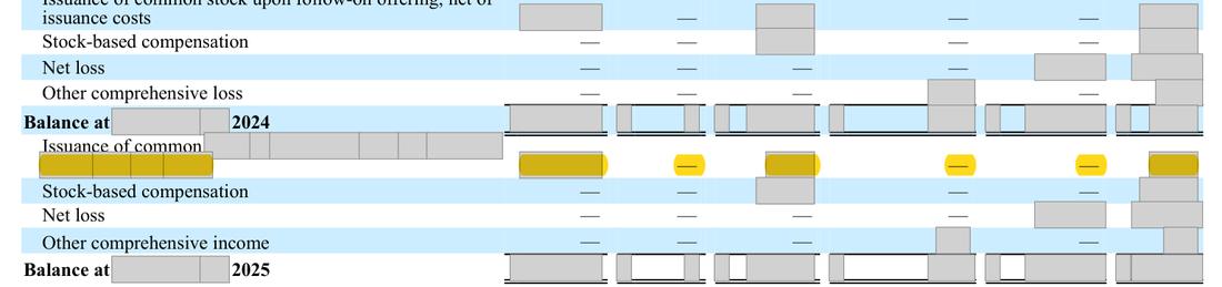 Masked extract: Form 10-K 2025, page 64