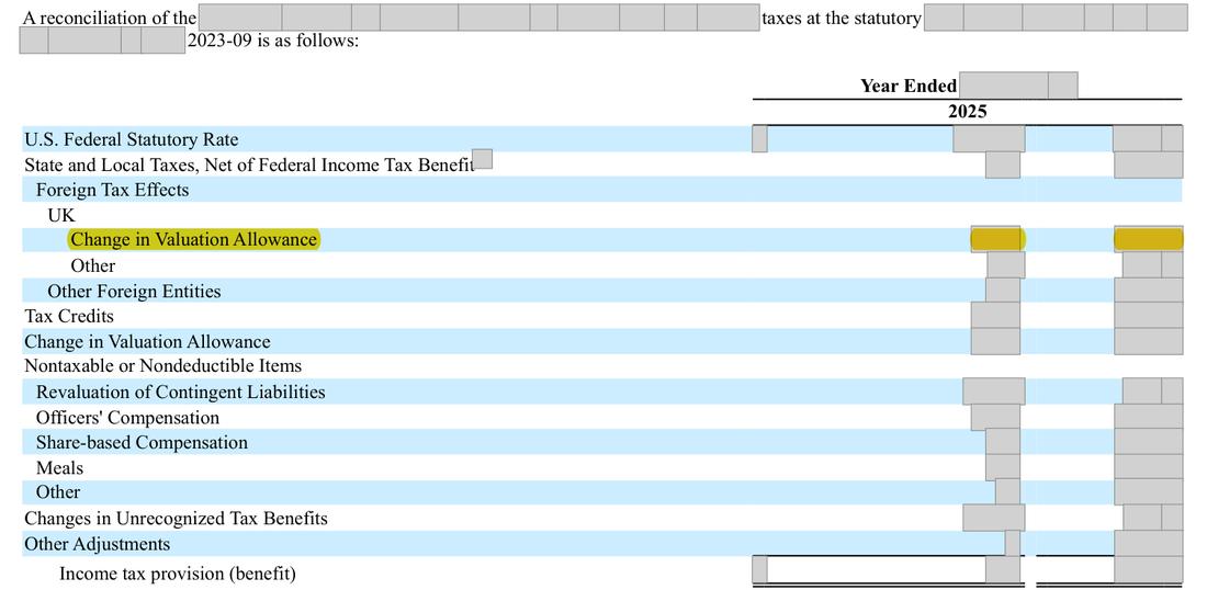 Masked extract: Form 10-K 2025, page 91