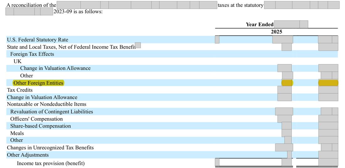 Masked extract: Form 10-K 2025, page 91