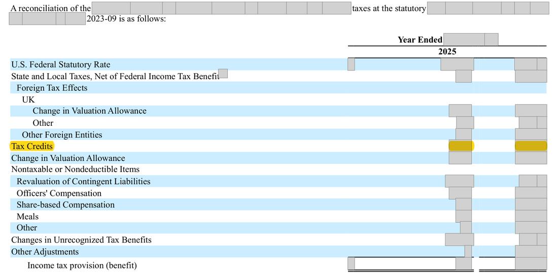 Masked extract: Form 10-K 2025, page 91