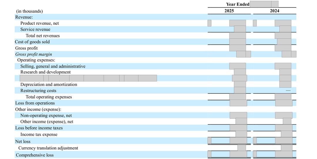 Masked extract: Form 10-K 2025, page 49