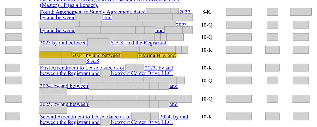 Masked extract: Form 10-K 2025, page 101