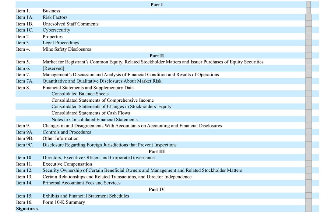 Masked extract: Form 10-K 2025, page 1