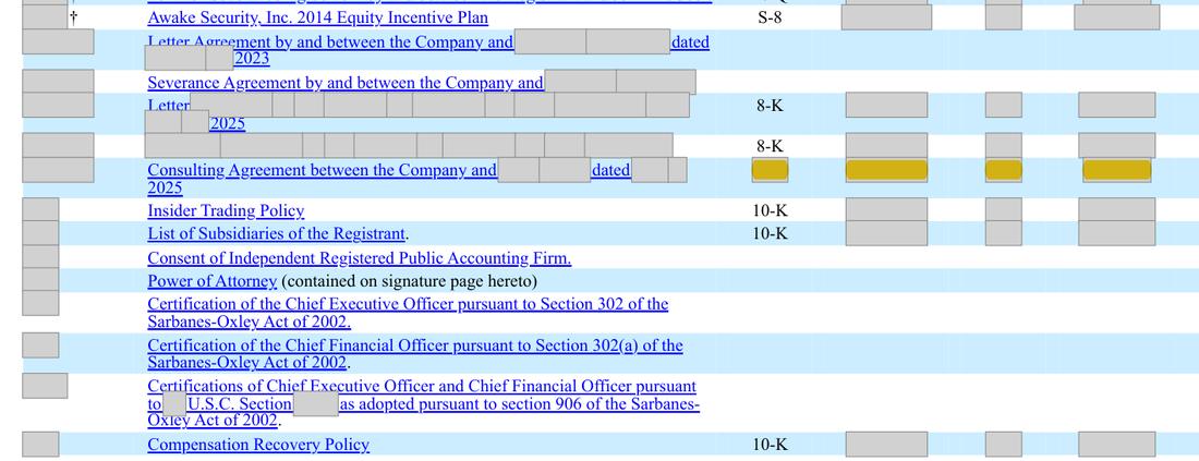 Masked extract: Form 10-K 2025, page 100