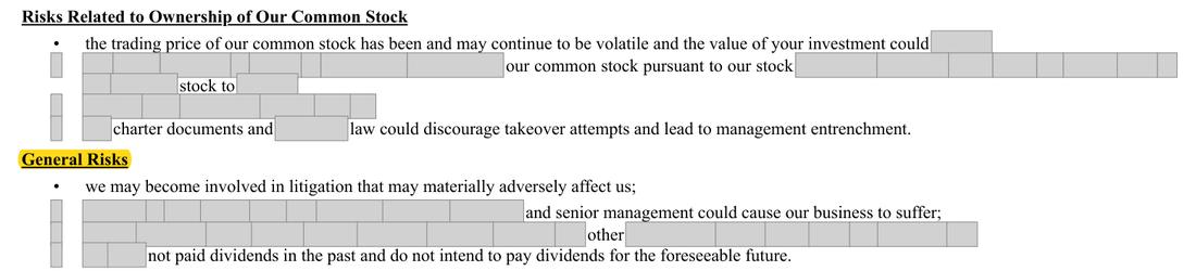 Masked extract: Form 10-K 2025, page 13