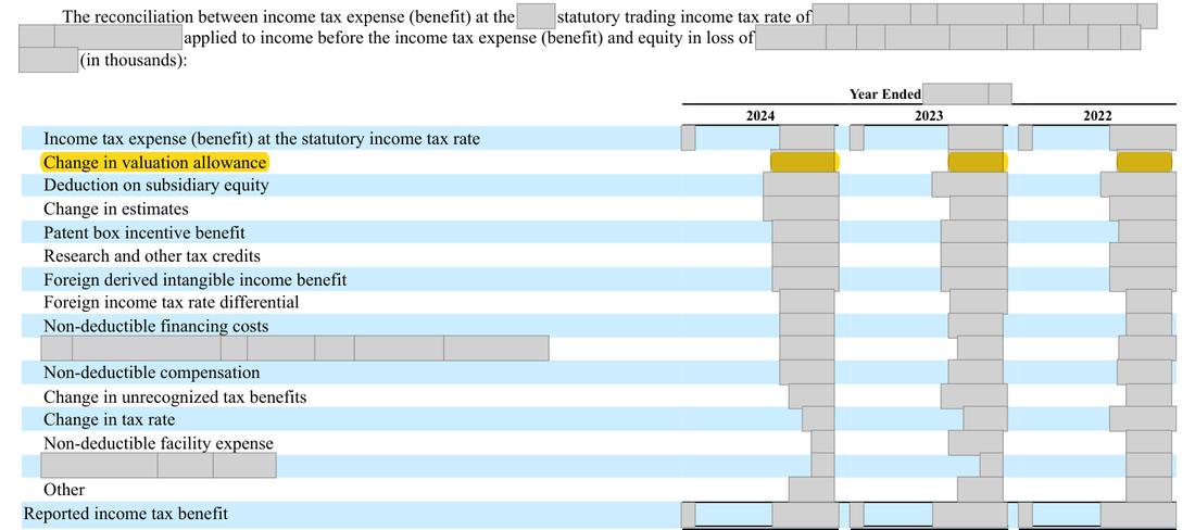 Masked extract: Form 10-K 2024 (prior year), front matter