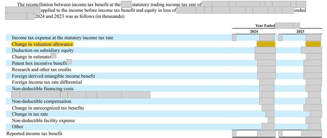 Masked extract: Form 10-K 2025, front matter