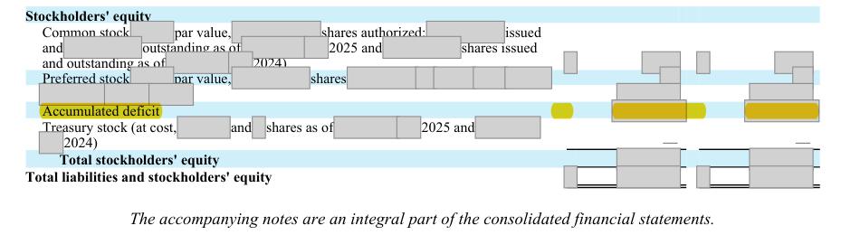 Masked extract: Form 10-K 2025, page 127