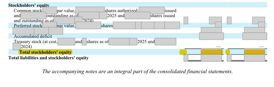 Masked extract: Form 10-K 2025, page 127