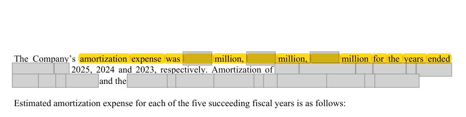 Masked extract: Form 10-K 2025, page 98