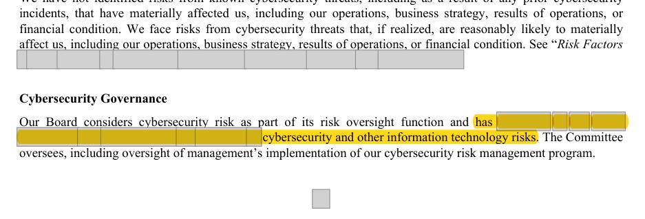 Masked extract: Form 10-K 2025, page 47