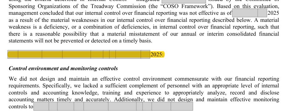 Masked extract: Form 10-K 2025, page 130