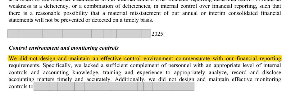 Masked extract: Form 10-K 2025, page 130