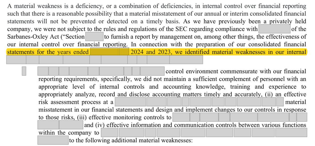 Masked extract: Form 10-K 2024 (prior year), page 126