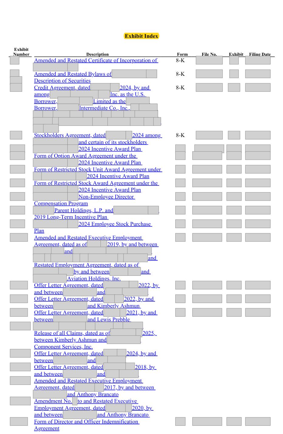 Masked extract: Form 10-K 2025, page 141. Where the disclosure should appear: nothing here